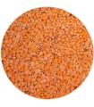 LENTILLES CORAIL Bio 250g