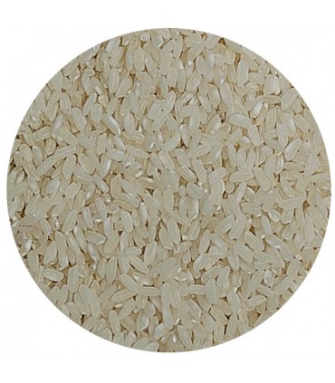 RIZ LONG BLANC Bio 250g