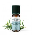 HE EUCALYPTUS RADIATA BIO 10ML